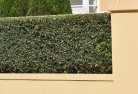 Balcombahard-landscaping-surfaces-8.jpg; ?>